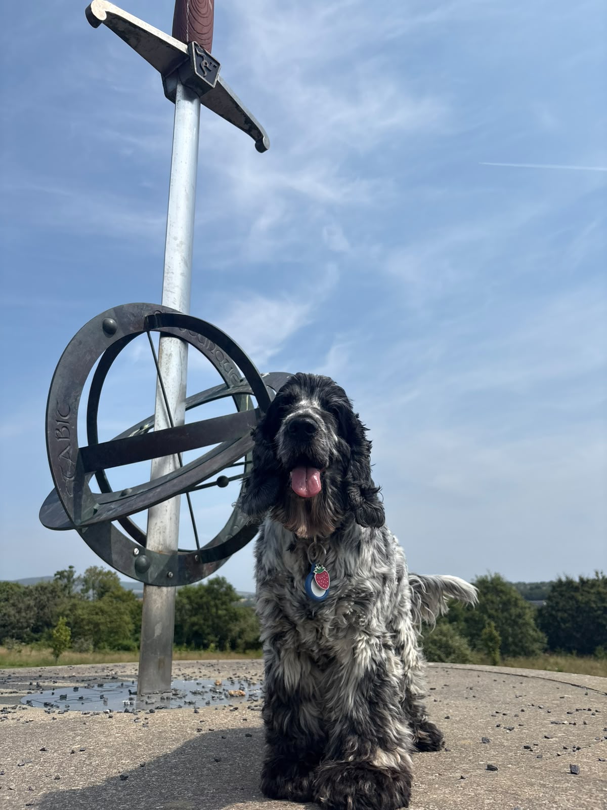 Isla at the Millennium Oak